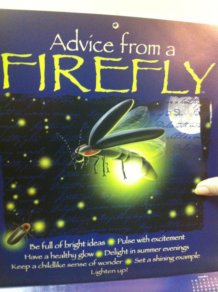 Poster in Bergen and Associates Counselling office offering advice from a firefly